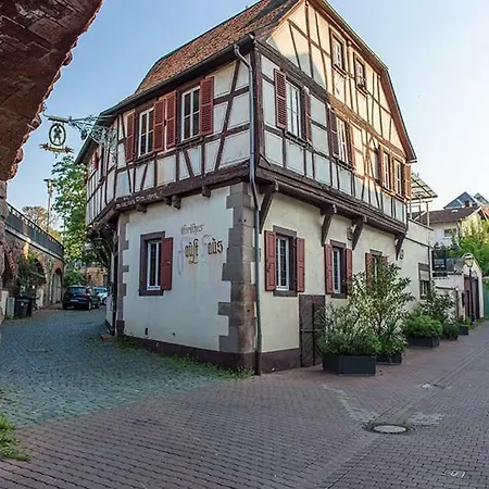 Haus Des Sports