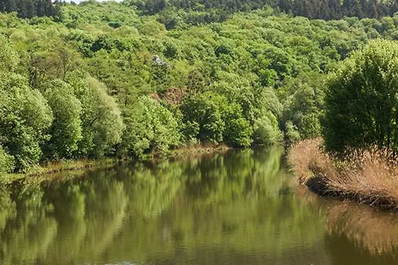 Gasthof Haus Des Sports